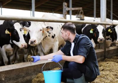Le monde de l’agriculture s’intéresse au mentorat