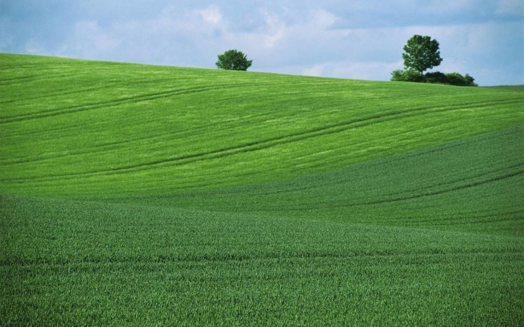 Le mentorat à la campagne