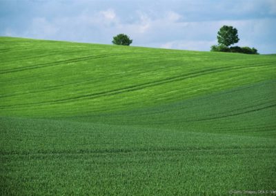 Le Mentorat : une solution pour valoriser les compétences des seniors dans le monde agricole