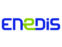Mission d'accompagnement managérial au sein d'enedis